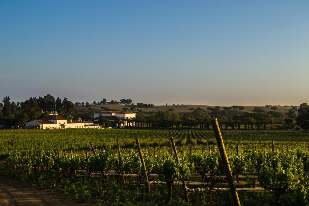 Herdade Da Calada Azaruja Exterior photo